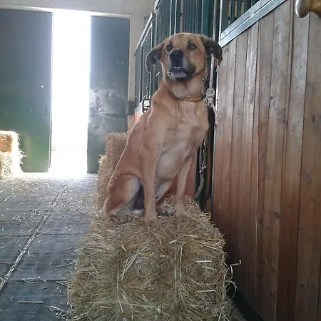 Séjour à la ferme Valle Rillo Agriturismo Comacchio