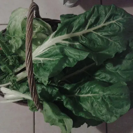 Valle Rillo Agriturismo