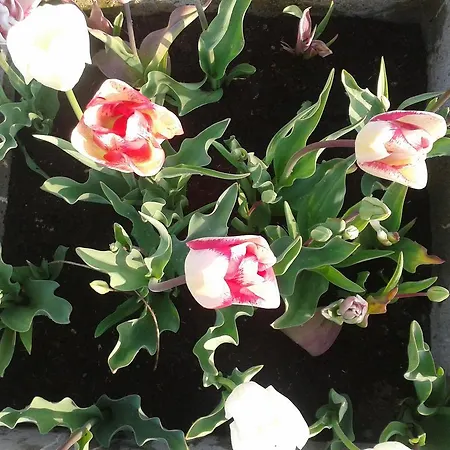 Valle Rillo Agriturismo Séjour à la ferme *