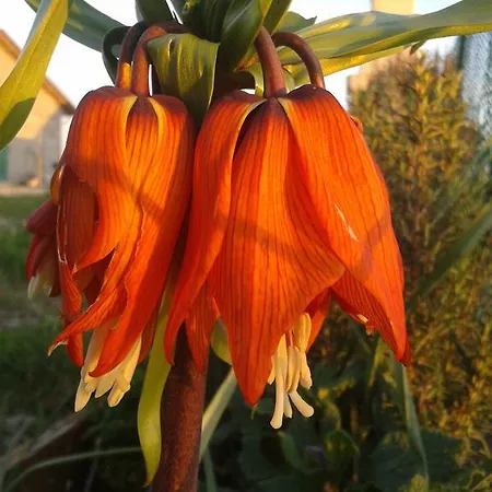 Valle Rillo Agriturismo Séjour à la ferme