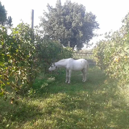 Valle Rillo Agriturismo *