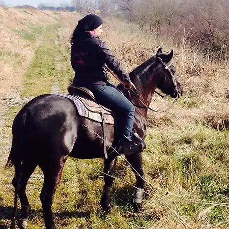 Valle Rillo Agriturismo Séjour à la ferme