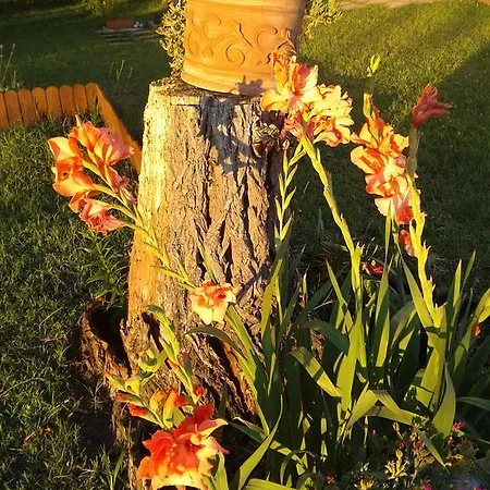 Valle Rillo Agriturismo