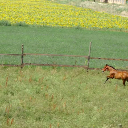 Séjour à la ferme Valle Rillo Agriturismo Comacchio