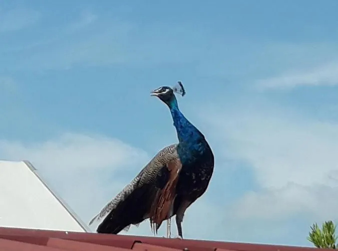 Lantgård Valle Rillo Agriturismo