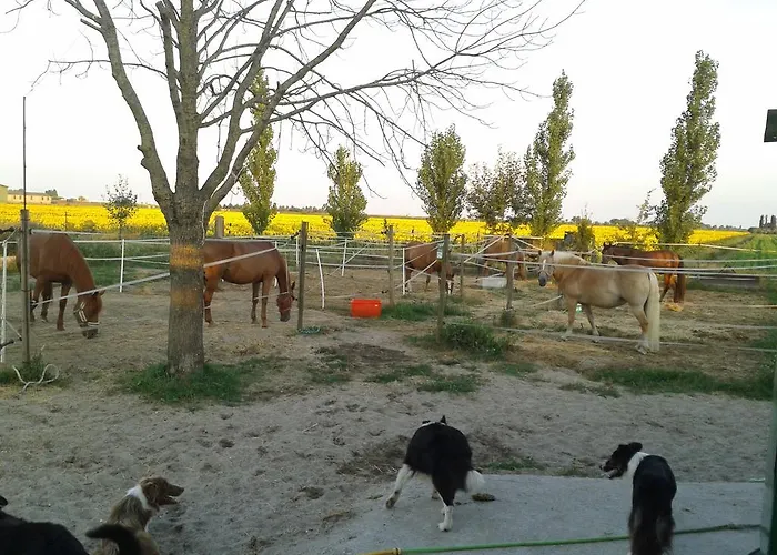 Valle Rillo Agriturismo