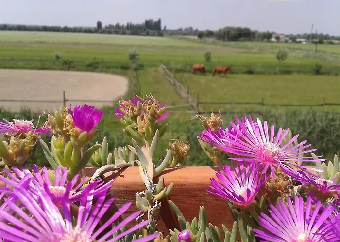 ファームステイ Valle Rillo Agriturismo コマッキオ