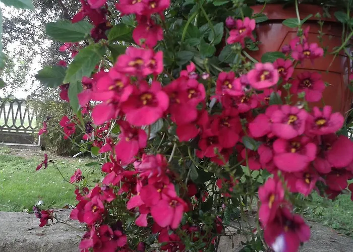 ファームステイ Valle Rillo Agriturismo