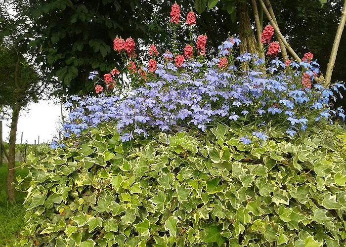 ファームステイ Valle Rillo Agriturismo コマッキオ