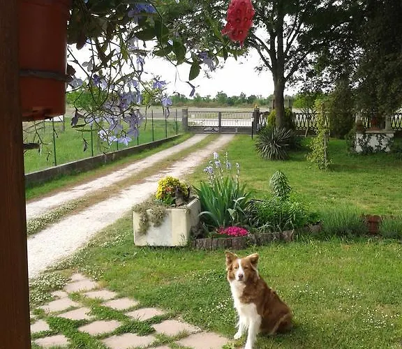 ファームステイ Valle Rillo Agriturismo *