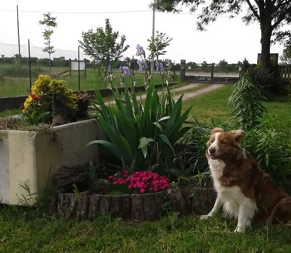 Valle Rillo Agriturismo Lantgård Comacchio