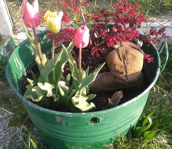 Lantgård Valle Rillo Agriturismo *