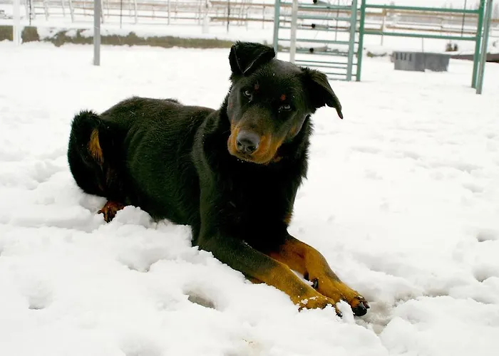 Valle Rillo Agriturismo *