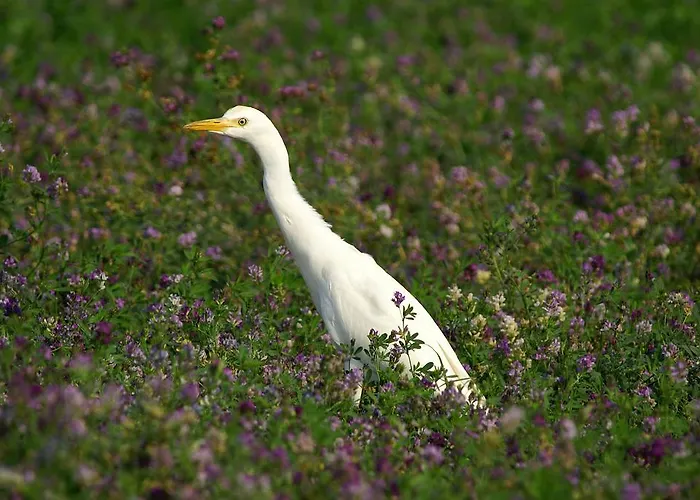 Valle Rillo Agriturismo ファームステイ *