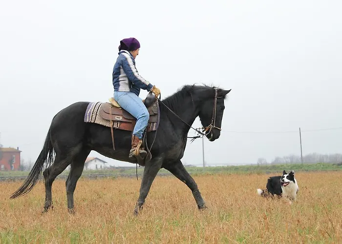 Valle Rillo Agriturismo * コマッキオ