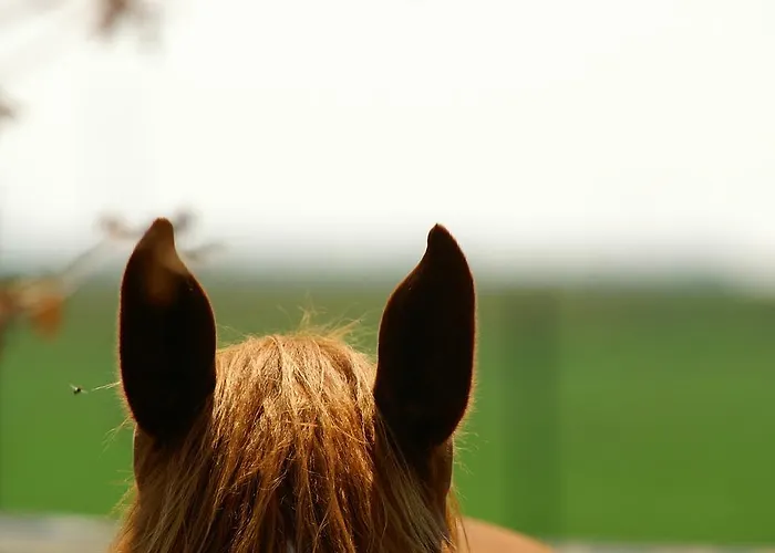 ファームステイ Valle Rillo Agriturismo