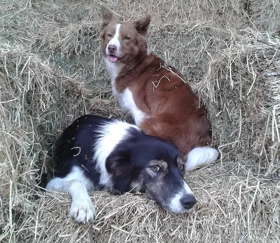 Lantgård Valle Rillo Agriturismo