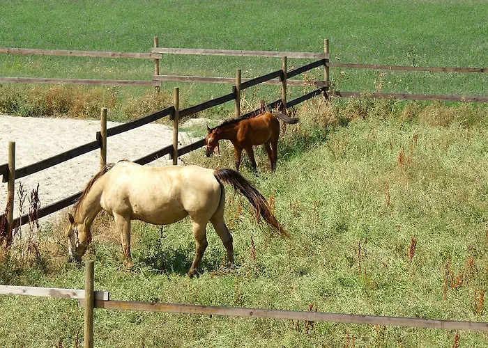 ファームステイ Valle Rillo Agriturismo *