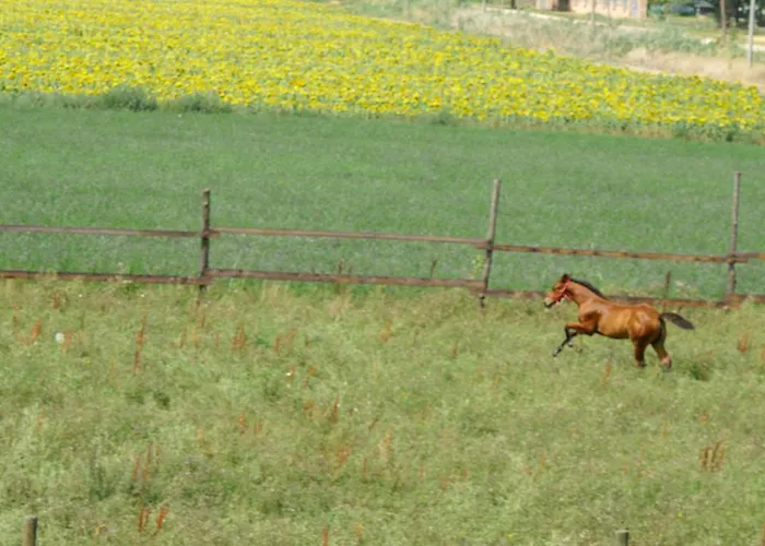 Lantgård Valle Rillo Agriturismo Comacchio