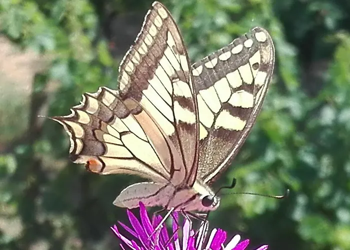 Valle Rillo Agriturismo Lantgård