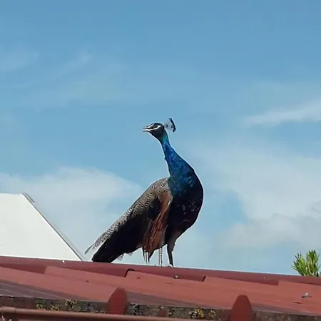 Çiftlik konaklama Valle Rillo Agriturismo