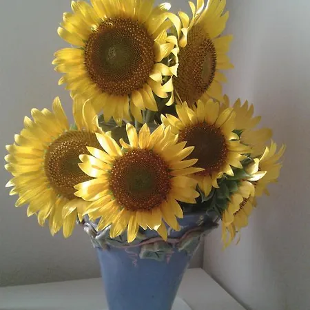 Çiftlik konaklama Valle Rillo Agriturismo *