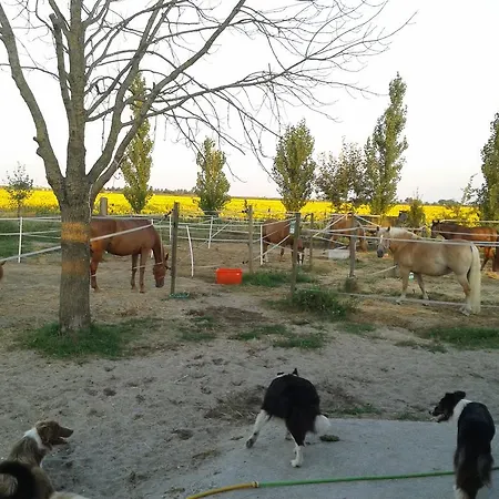 Valle Rillo Agriturismo