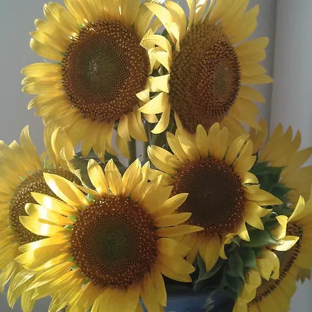 Valle Rillo Agriturismo Çiftlik konaklama *