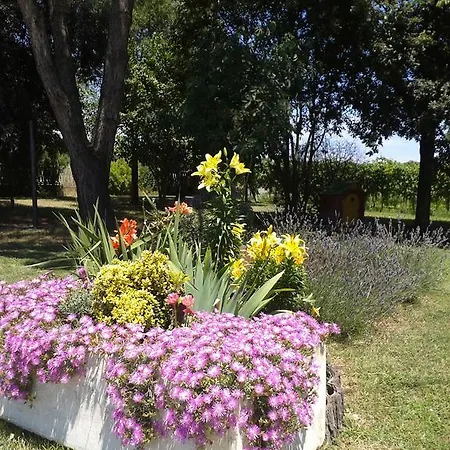 Valle Rillo Agriturismo