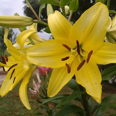 Valle Rillo Agriturismo *