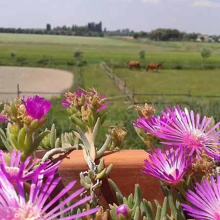 Çiftlik konaklama Valle Rillo Agriturismo Comacchio
