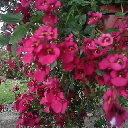 Alojamento de Turismo Rural Valle Rillo Agriturismo