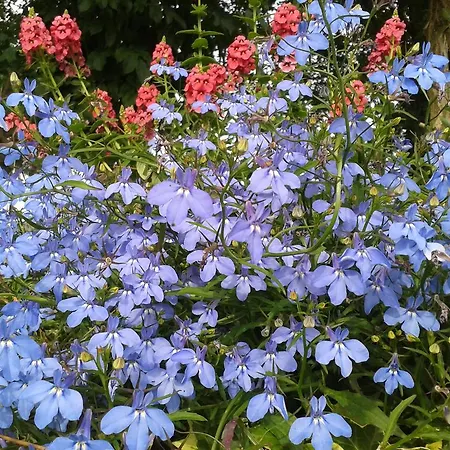 Valle Rillo Agriturismo Alojamento de Turismo Rural