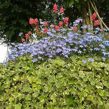 Çiftlik konaklama Valle Rillo Agriturismo Comacchio