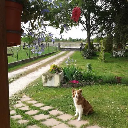 Çiftlik konaklama Valle Rillo Agriturismo *