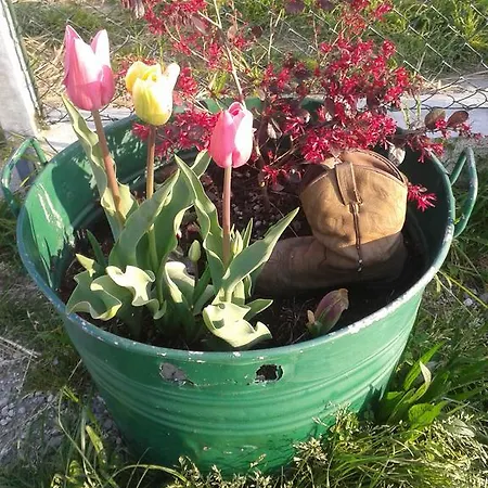 Çiftlik konaklama Valle Rillo Agriturismo *