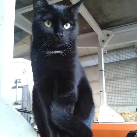 Valle Rillo Agriturismo Alojamento de Turismo Rural *