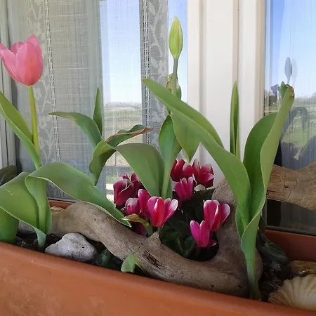 Valle Rillo Agriturismo