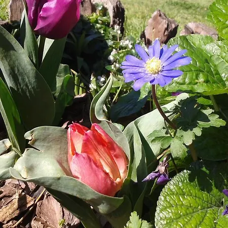 Valle Rillo Agriturismo