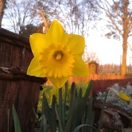 Valle Rillo Agriturismo Çiftlik konaklama