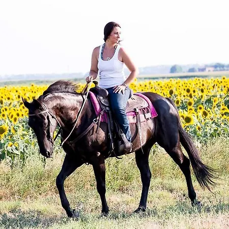 Valle Rillo Agriturismo *