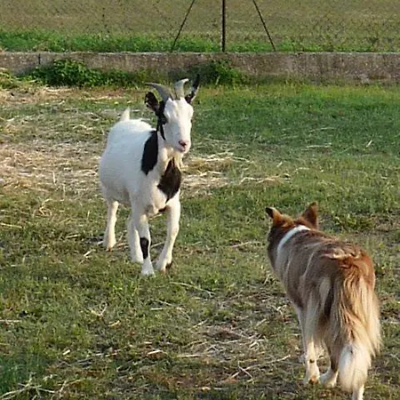Alloggio per agriturismo Valle Rillo Agriturismo *