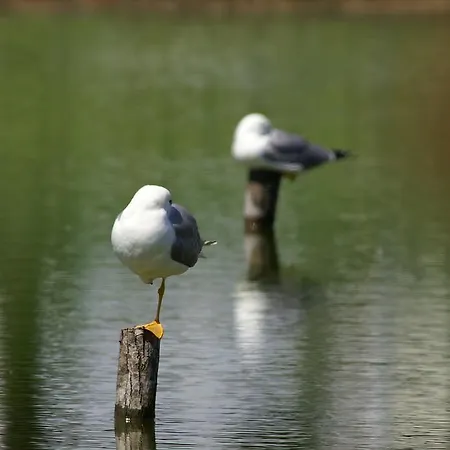 Valle Rillo Agriturismo Comacchio