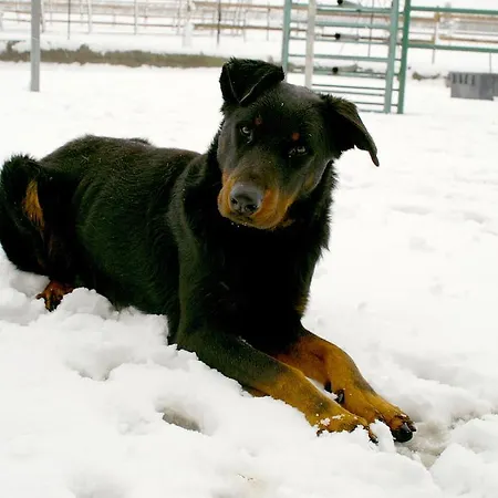 Valle Rillo Agriturismo *