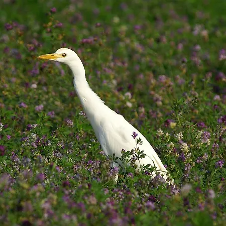 Valle Rillo Agriturismo Çiftlik konaklama *