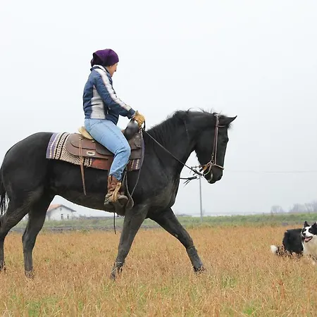 Valle Rillo Agriturismo * Comacchio