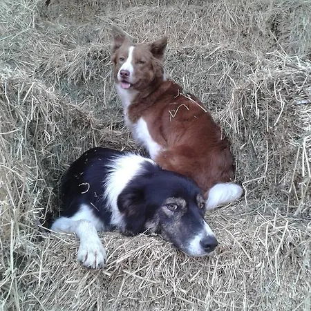 Alojamento de Turismo Rural Valle Rillo Agriturismo