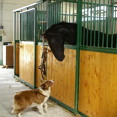 Alojamento de Turismo Rural Valle Rillo Agriturismo Comacchio
