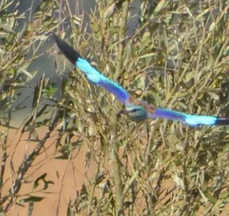 Valle Rillo Agriturismo