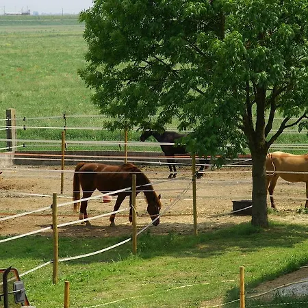 Çiftlik konaklama Valle Rillo Agriturismo *